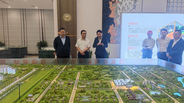 王思軍到省城市更新等三家公司六安項目調研督導工作